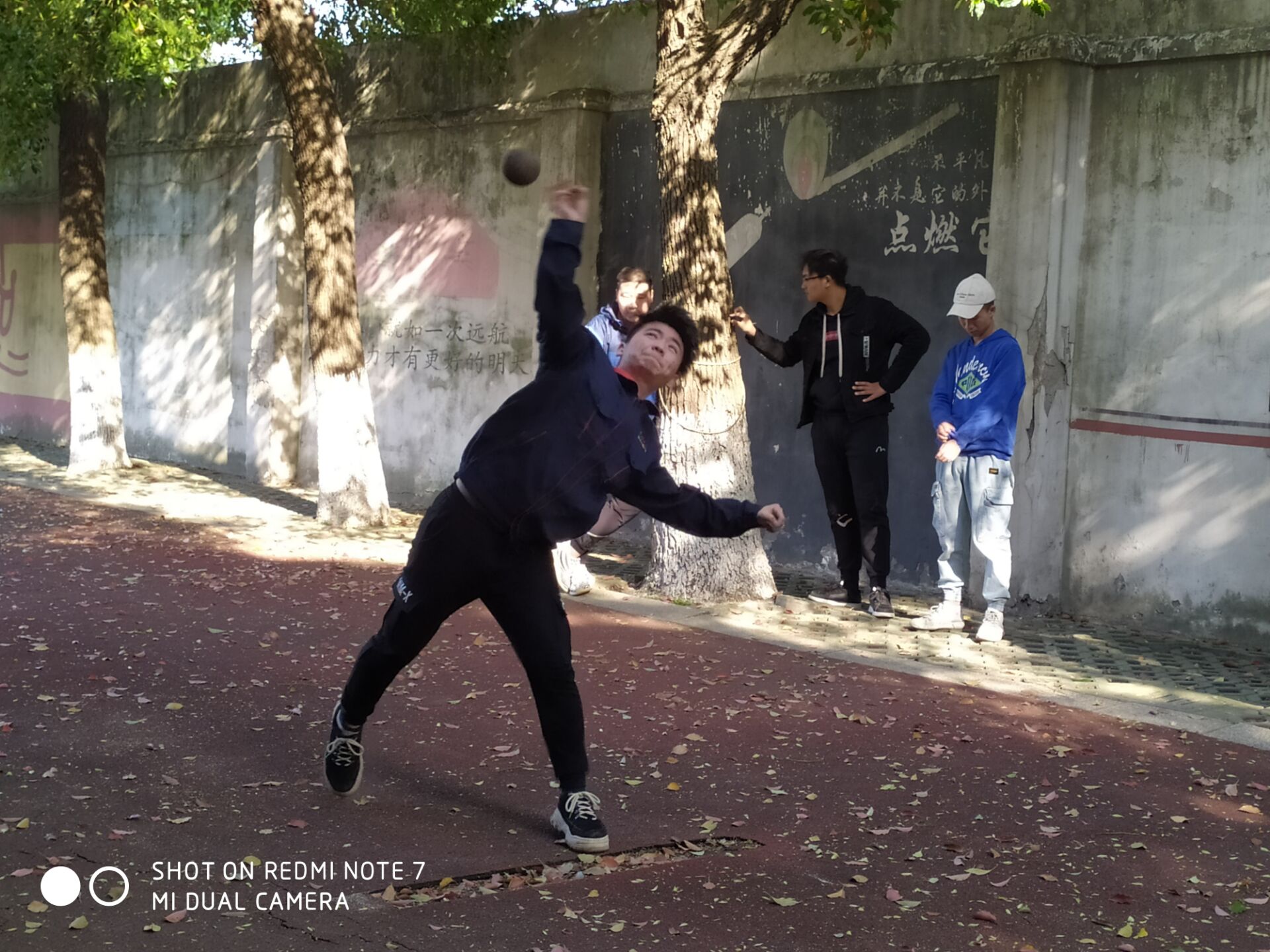 1554951022849083062.jpg 12.jpg